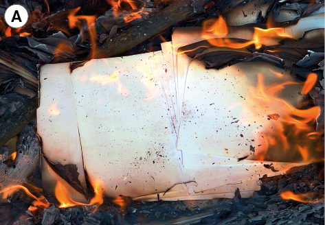Imagem: Fotografia. A: folha de papel pegando fogo nas bordas.  Fim da imagem.