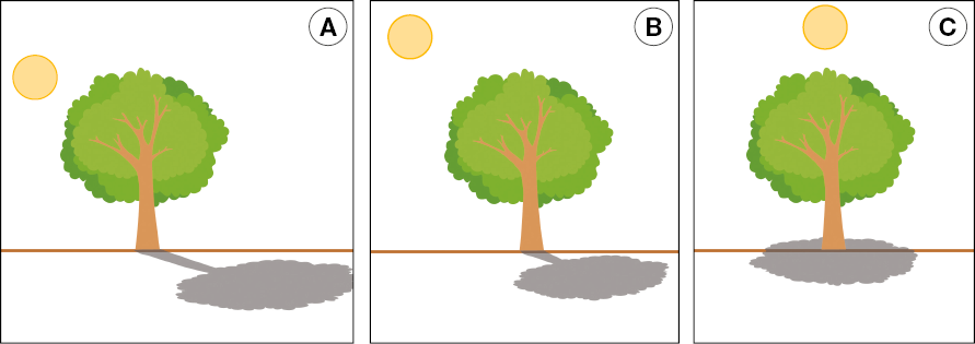 Imagem: Ilustração. Sol ao lado de uma árvore com copa larga formando a sombra. A: Sol no lado esquerdo da árvore, formando sombra esticada para direita. B: Sol no canto superior esquerdo, formando uma sombra menor à direita. C: Sol acima da árvore, formando uma sombra abaixo da árvore. Fim da imagem.