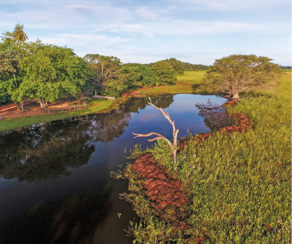 Imagem: Fotografia. Vista de rio com vegetação baixa com algumas árvores baixas.  Fim da imagem.