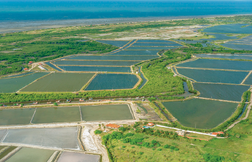 Imagem: Fotografia. Vista aérea de lagos artificiais setorizados com vegetação e mar no horizonte. Fim da imagem.