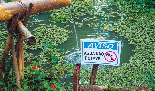 Imagem: Fotografia. Destaque de placa avisando “água não potável” em frente a um rio com plantas e um cano de madeira despejando água no centro do rio. Fim da imagem.