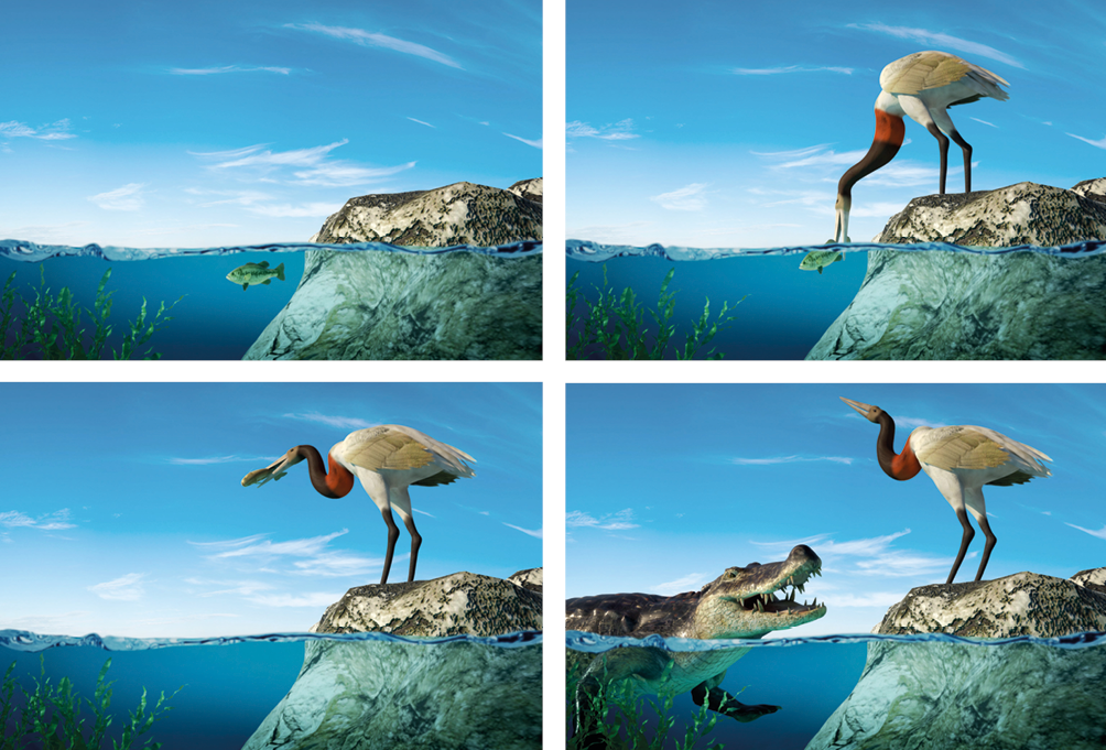 Imagem: Ilustração. Quatro imagens sequenciais. Corte do mar com uma pedra ao lado. 1: peixe nadando. 2: garça pegando o peixe no mar. 3: garça comendo o peixe. 4: jacaré indo em direção da garça. Fim da imagem.