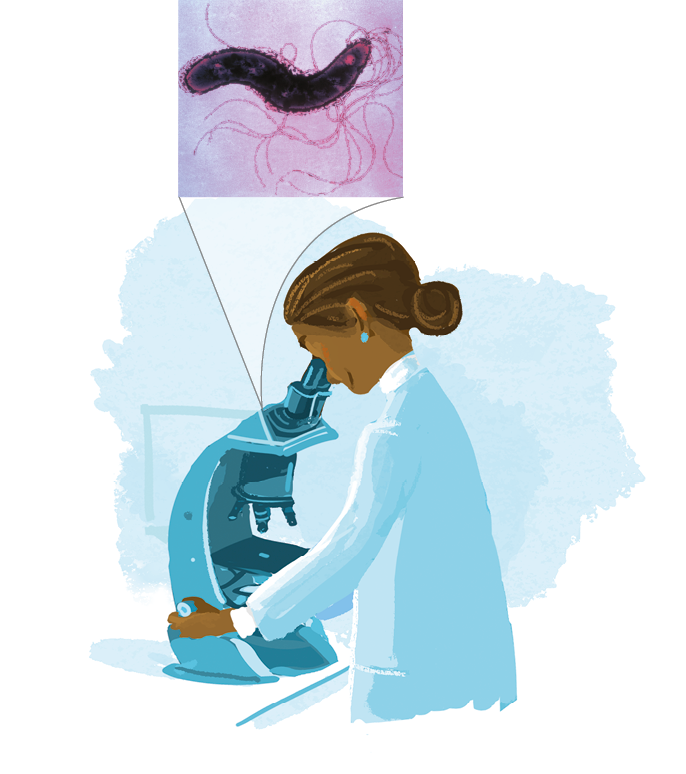 Imagem: Ilustração. Mulher de cabelo preso castanho, vestindo jaleco azul. Está observando em um microscópio uma bactéria em S soltando tentáculos.  Fim da imagem.