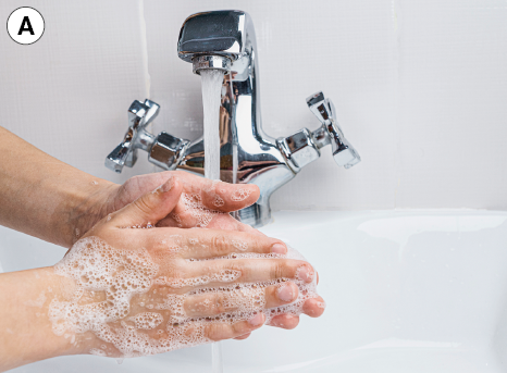 Imagem: Fotografia. A: Destaque de mãos ensaboadas sobre torneira com água corrente. Fim da imagem.