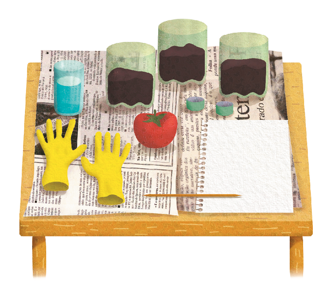 Imagem: Ilustração. Mesa de madeira com jornal, folhas de papel, garrafas pet com terra, copo de água, luvas de borraCha, tomate. Fim da imagem.