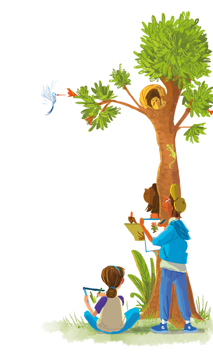 Imagem: Ilustração. Árvore com um ninho de passarinho em capsula com filhote no interior. No fim do galho, um beija-flor cheirando uma flor. Abaixo, três pessoas observando com folhas e pranchetas para desenho. Fim da imagem.