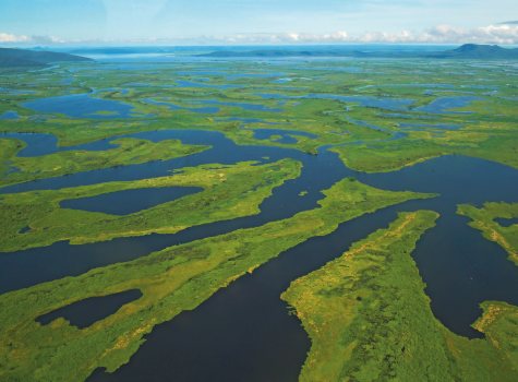 Imagem: Abaixo, vista aérea de Pantanal com vegetação cercada por rios.  Fim da imagem.