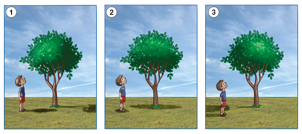 Imagem: Ilustração. Menino de cabelo curto castanho, vestindo camiseta azul e bermuda vermelha. Está observando uma árvore que muda a posição das sombras nas fotos a seguir. 1`: sombra à direita. 2: sombra abaixo. 3: sombra à esquerda. Fim da imagem.
