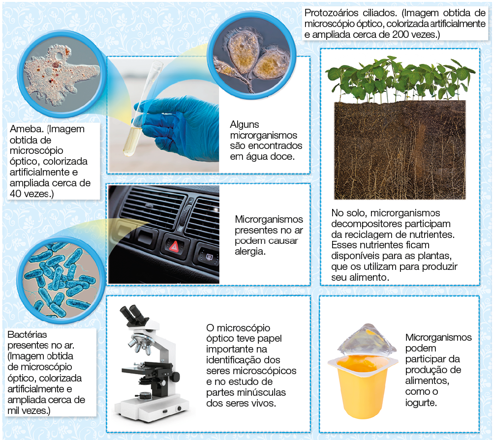 Imagem: Fotografia. Destaque de mão enluvada azul, segurando um frasco. Alguns microrganismos são encontrados em água doce. Ao lado, destaque de ameba ampliada. Ameba. (Imagem obtida de microscópio óptico, colorizada artificialmente e ampliada cerca de 40 vezes.) ao lado, destaque de microrganismos diversos. Protozoários ciliados. (Imagem obtida de microscópio óptico, colorizada artificialmente e ampliada cerca de 200 vezes.) Fotografia. Destaque de ar condicionado de carro. Microrganismos presentes no ar podem causar alergia. Ao lado, destaque de bactérias cilíndricas saindo pelo ar. Bactérias presentes no ar. (Imagem obtida de microscópio óptico, colorizada artificialmente e ampliada cerca de mil vezes.) Fotografia. Microscópio branco com suporte para dois olhos e quatro pontas da lente de visão. Abaixo, suporte para placa de análise. O microscópio óptico teve papel importante na identificação dos seres microscópicos e no estudo de partes minúsculas dos seres vivos. Fotografia. Pote de iogurte aberto. Microrganismos podem participar da produção de alimentos, como o iogurte. Fotografia. Plantas com raízes expostas em corte. No solo, microrganismos decompositores participam da reciclagem de nutrientes. Esses nutrientes ficam disponíveis para as plantas, que os utilizam para produzir seu alimento.  Fim da imagem.