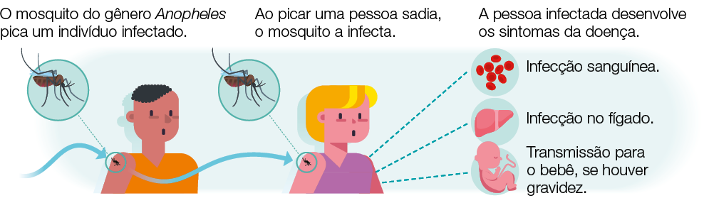 Imagem: Ilustração. Destaque de mosquito picando um menino de cabelo curto preto, vestindo camiseta amarela. Ao lado, seta indica mesmo mosquito em uma menina de cabelo curto loiro, vestindo camiseta roxa. Ao lado, setas indicam ilustração de bolinhas vermelhas representando glóbulos vermelhos com infecção sanguínea, parte de um fígado indicando infecção no fígado, um bebê com cordão umbilical indicando transmissão para o bebê, se houver gravidez. Fim da imagem.