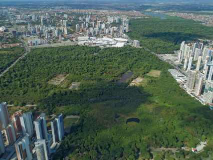 Imagem: Fotografia. Vista aérea de vegetação extensa com cidade nos arredores. Fim da imagem.