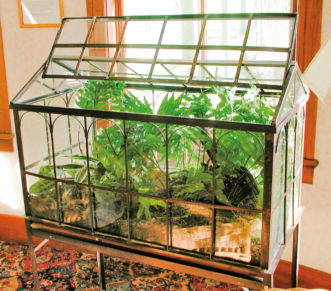Imagem: Fotografia. Aquário de vidro em formato de caça com plantas no interior. Fim da imagem.