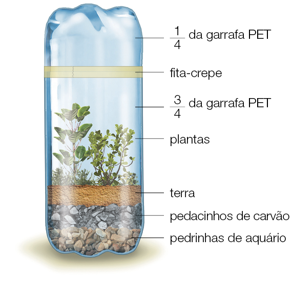 Imagem: Abaixo, ilustração da estrutura com plantas no interior, abaixo, solo com três camadas: terra, pedacinhos de carvão e pedrinhas de aquário. Fim da imagem.