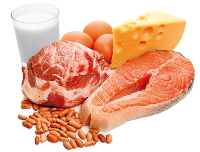 Imagem: Fotografia. Carnes, leite, queijo, feijão e ovos. Fim da imagem.