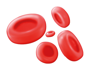 Imagem: Ilustração. Células vermelhas arredondadas com parte central levemente afundada. Fim da imagem.
