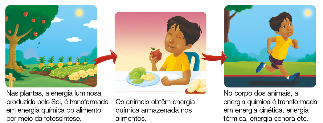 Imagem: Ilustração. Plantação de frutas e legumes sobre um campo. Nas plantas, a energia luminosa, produzida pelo Sol, é transformada em energia química do alimento por meio da fotossíntese. Seta indica menino de cabelo curto, vestindo camiseta amarela, sentado em uma cadeira e comendo uma maçã. Os animais obtêm energia química armazenada nos alimentos. Seta indica mesmo menino correndo em uma pista enquanto observa o sol. No corpo dos animais, a energia química é transformada em energia cinética, energia térmica, energia sonora etc. Fim da imagem.