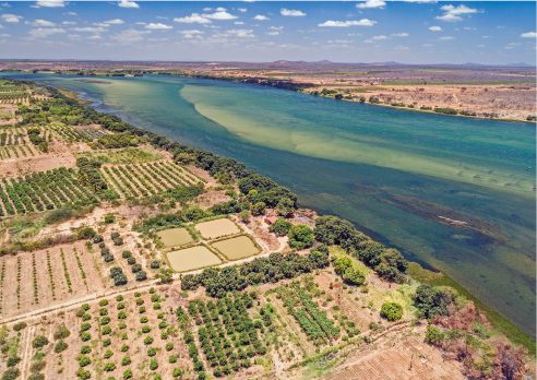 Imagem: Fotografia. Vista aérea de rio largo com plantação em ambos os lados.  Fim da imagem.