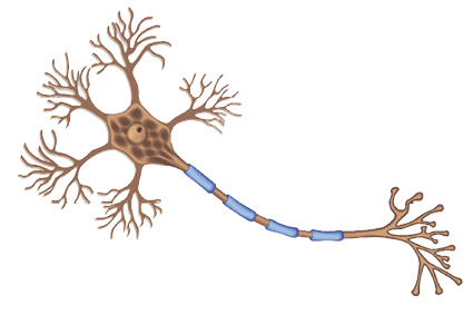 Imagem: Ilustração. Célula maior com cinco tentáculos se dividindo em tentáculos menores. Sexto tentáculo maior ramifica também em menores. Fim da imagem.