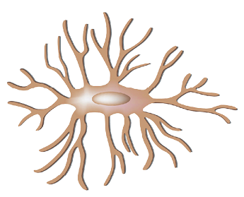 Imagem: Ilustração. Célula com núcleo e tentáculos nos arredores. Fim da imagem.