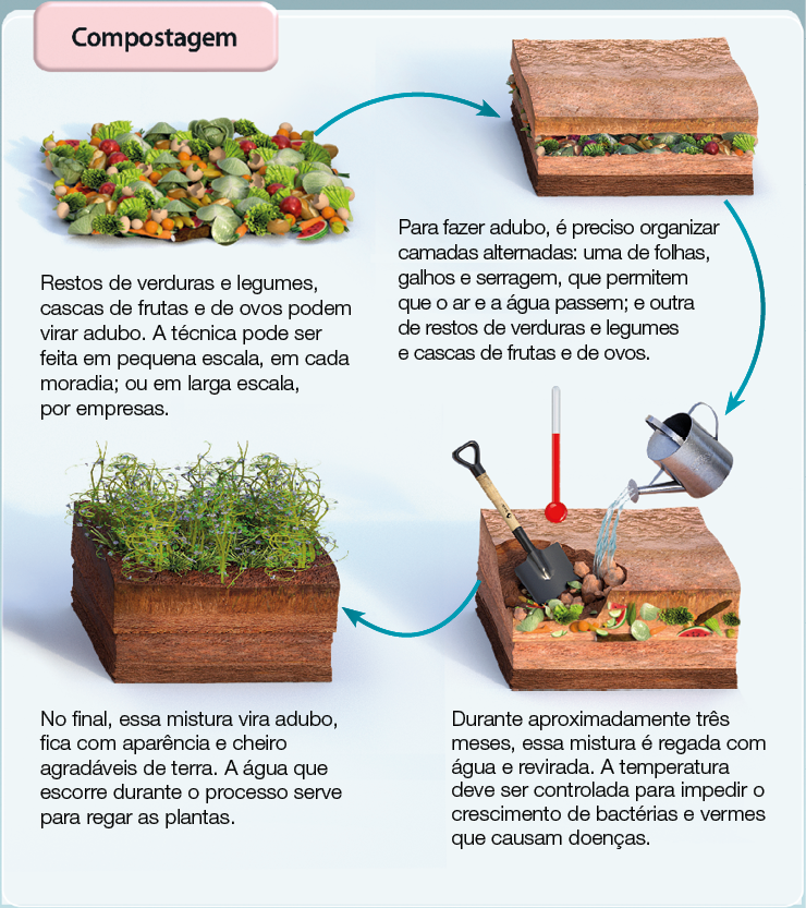 Imagem: Fotografia. Restos de verduras e legumes. Restos de verduras e legumes, cascas de frutas e de ovos podem virar adubo. A técnica pode ser feita em pequena escala, em cada moradia; ou em larga escala, por empresas. Seta indica restos sobre o meio do solo. Para fazer adubo, é preciso organizar camadas alternadas: uma de folhas, galhos e serragem, que permitem que o ar e a água passem; e outra de restos de verduras e legumes e cascas de frutas e de ovos. Setas abaixo indica regador molhando o solo com termômetro e pá. Durante aproximadamente três meses, essa mistura é regada com água e revirada. A temperatura deve ser controlada para impedir o crescimento de bactérias e vermes que causam doenças. Seta indica plantas germinando sobre o solo. No final, essa mistura vira adubo, fica com aparência e cheiro agradáveis de terra. A água que escorre durante o processo serve para regar as plantas. Fim da imagem.