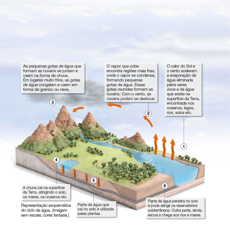 Imagem: Ilustração. 1: Rio com setas indicam para cima. 2: ao lado, seta indica caminho até montanhas. 3: onde há nuvens e chuva. 4: terra indica lago com setas de água descendo o solo. 5: plantas com solo molhado. 6: solo próximo ao rio inicial da imagem. 1: O calor do Sol e o vento aceleram a evaporação da água eliminada pelos seres vivos e da água que existe na superfície da Terra, encontrada nos oceanos, lagos, rios, solos etc. 2: O vapor que sobe encontra regiões mais frias, onde o vapor se condensa, formando pequenas gotas de água. Essas gotas reunidas formam as nuvens. Com o vento, as nuvens podem se deslocar. 3: As pequenas gotas de água que formam as nuvens se juntam e caem na forma de chuva. Em lugares muito frios, as gotas de água congelam e caem em forma de granizo ou neve. 4: A chuva cai na superfície da Terra, atingindo o solo, os mares, os oceanos etc. 5: Parte da água que cai no solo é utilizada pelas plantas. 6: Parte da água penetra no solo e pode atingir os reservatórios subterrâneos. Outra parte, ainda, escoa e chega aos rios e mares. Fim da imagem.