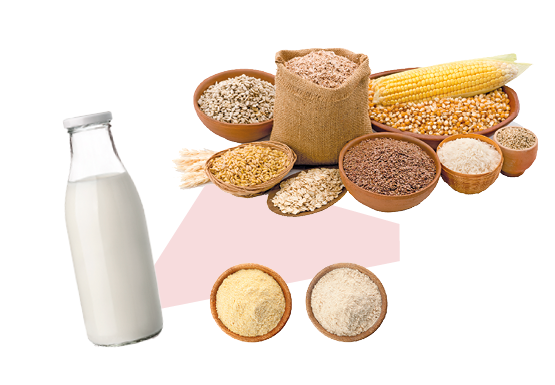 Imagem: Fotografia. Cumbucas com cereais diversos como feijão, farinhas, arroz, milho e vidro de leite. Fim da imagem.