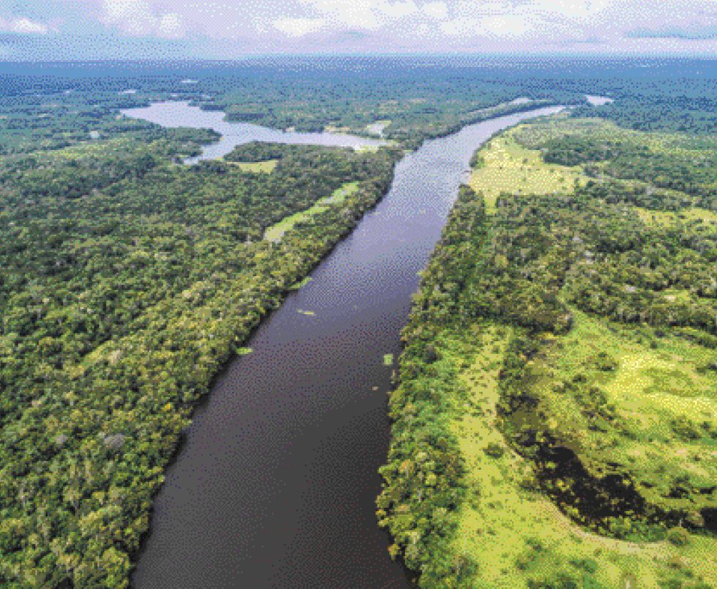Imagem: Fotografia. Vista aérea de um rio sinuoso com várias árvores em volta. Fim da imagem.