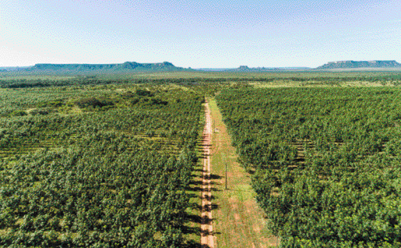 Imagem: Fotografia. Vista aérea de uma estrada de terra. Nas laterais há várias árvores e ao fundo, morros. Fim da imagem.