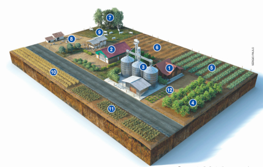 Imagem: Ilustração. Propriedade rural com números e abaixo, a legenda. No centro há uma residência pequena (1). Ao lado, silos grandes e prateados (3) e uma pequena horta (12). Em seguida, um pomar extenso (4). À direita da residência há uma plantação extensa (Cultivo de soja – 5). E ao lado, um terreno plano e marrom (Solo em descanso – 6). Atrás há árvores e bois pastando (Criação de bois – 7). Atrás da residência há um celeiro grande (2) e ao lado há um chiqueiro e um galinheiro (Criação de galinhas – 9 e Criação de porcos – 8). À esquerda dos silos há uma estrada de asfalto e do ouro lado, duas plantações (Cultivo de trigo – 10 e Cultivo de beterraba – 11).  Fim da imagem.