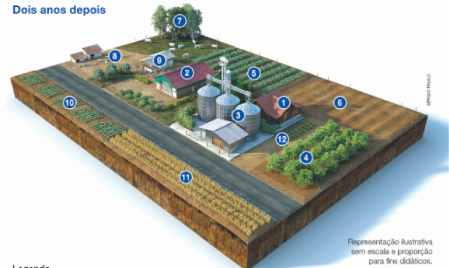 Imagem: Ilustração. Propriedade rural com números e abaixo, a legenda. No centro há uma residência pequena (1). Ao lado, silos grandes e prateados (3) e uma pequena horta (12). Em seguida, um pomar extenso (4). À direita da residência há um terreno plano e marrom (Solo em descanso – 6). E ao lado, uma plantação extensa (Cultivo de soja – 5). Atrás há árvores e bois pastando (Criação de bois – 7). Atrás da residência há um celeiro grande (2) e ao lado há um chiqueiro e um galinheiro (Criação de galinhas – 9 e Criação de porcos – 8). À esquerda dos silos há uma estrada de asfalto e do ouro lado, duas plantações (Cultivo de repolho – 10 e Cultivo de trigo – 11).  Fim da imagem.