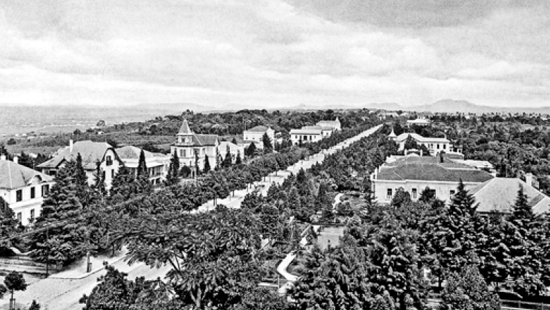 Imagem: Fotografia em preto e branco. Vista aérea de uma rua. Nas laterais há várias árvores e algumas casas grandes.  Fim da imagem.