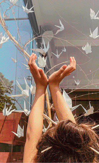 Imagem: Fotografia. Uma criança está de costas e com as mãos unidas para cima. Acima dela há dobraduras de papel com formato de pássaro penduradas em cordas. Fim da imagem.