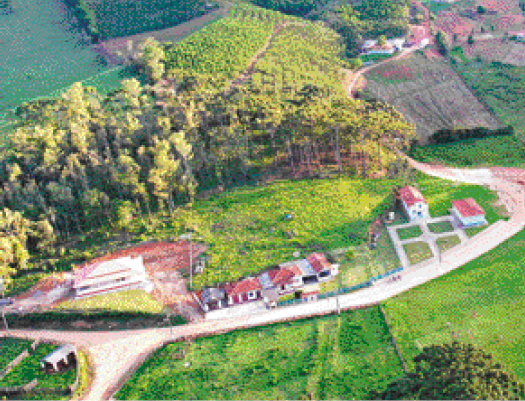 Imagem: Fotografia. Vista aérea de uma estrada de terra. Ao lado há algumas casas e em volta há plantações e árvores. Fim da imagem.