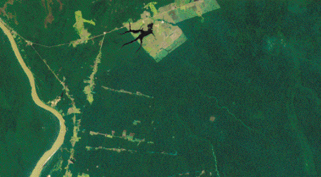 Imagem: Fotografia. Vista de cima de um terreno verde-escuro. À esquerda, uma estrada e pequenas áreas claras.  Fim da imagem.