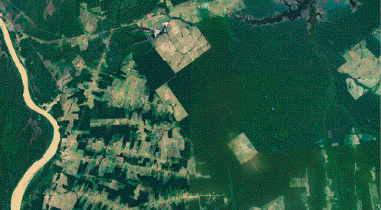 Imagem: Fotografia. Vista de cima de um terreno verde-escuro com várias áreas claras. À esquerda, uma estrada. Fim da imagem.