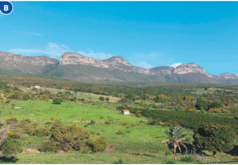 Imagem: Fotografia B. Um campo verde com várias árvores. Ao fundo, morros e nuvens no céu azul. Fim da imagem.