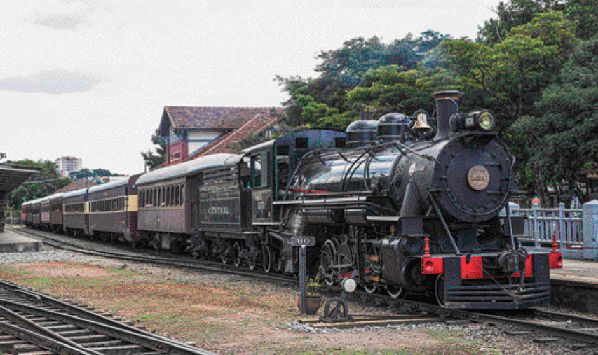 Imagem: Fotografia. Um trem preto parado sobre trilhos. Ao lado, árvores. Fim da imagem.