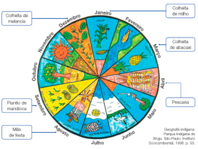 Imagem: Desenho. Círculo com desenhos e textos:  Janeiro: Colheita de milho. Desenho de uma plantação de milho.  Fevereiro: desenho de um peixe nadando em um rio.  Março: Colheita de abacaxi. Desenho de uma plantação de abacaxi.  Abril: Pescaria. Desenho de peixes em cima de uma grelha na fogueira.  Maio: desenho de um machado ao lado de uma árvore cortada.  Junho: desenho de uma gaivota voando sobre um rio.  Julho: desenho de uma tartaruga no mar. Atrás dela, um buraco na areia com ovos.  Agosto: Mês de festa. Desenho de uma fogueira acesa e atrás há um enfeite grande.  Setembro: Plantio de mandioca. Desenho de uma plantação de mandioca.  Outubro: desenho de uma árvore com frutos amarelos.  Novembro: desenho de um sol grande.  Dezembro: Colheita de melancia. Desenho de uma plantação de melancia.  Fim da imagem.
