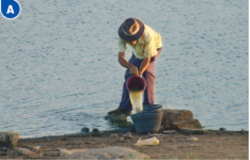 Imagem: Fotografia A. Um homem está segurando um balde e jogando água de um rio para outro balde.   Fim da imagem.