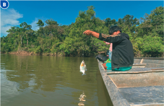 Imagem: Fotografia B. Um homem está sentado em um barco no rio e segurando uma linha com um peixe na ponta. Ao fundo, árvores.  Fim da imagem.