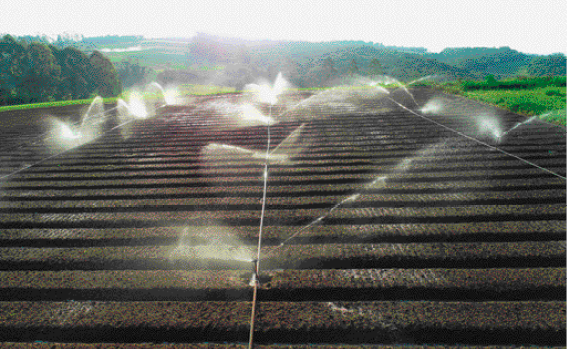 Imagem: Fotografia. Vista aérea de irrigadores automáticos jorrando água sobre uma plantação.   Fim da imagem.