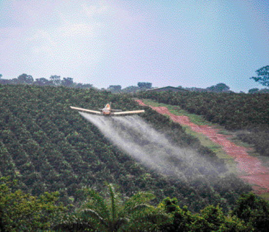 Imagem: Fotografia. Um avião sobrevoando uma plantação e expelindo agrotóxico.   Fim da imagem.