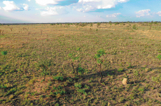 Imagem: Fotografia. Vista aérea de um terreno plano com pouca vegetação.   Fim da imagem.