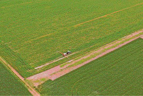 Imagem: Fotografia. Vista aérea de um trator sobre uma plantação de soja.   Fim da imagem.