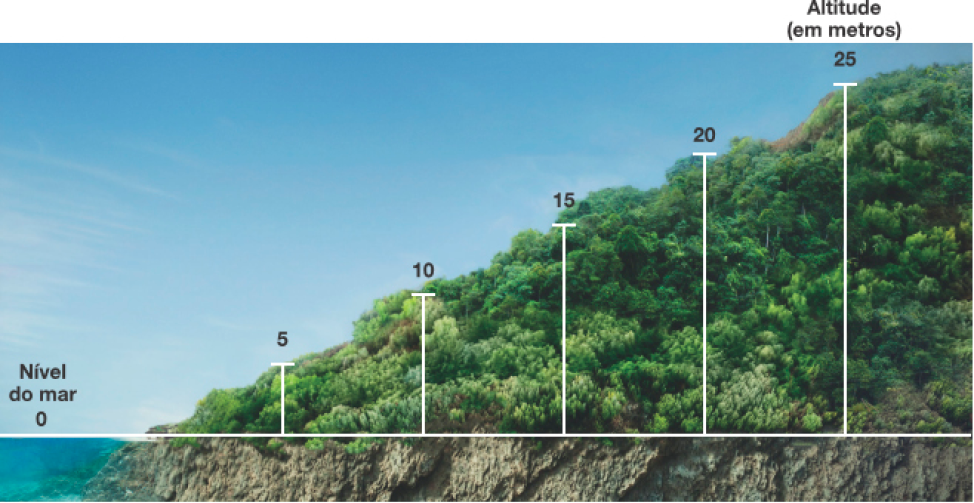 Imagem: Fotografia. À esquerda, o mar (Nível do mar 0). Ao lado, um morro com árvores, que vai aumentando de altura (Altitude (em metros) 5, 10, 15, 20, 25).  Fim da imagem.