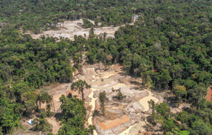 Imagem: Fotografia. Vista aérea de uma floresta e no centro há terrenos desmatados.   Fim da imagem.