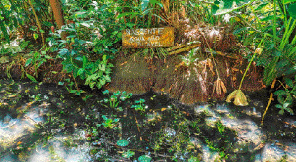 Imagem: Fotografia. Um rio com plantas e ao lado há uma placa com a informação: NASCENTE – ÁGUA NÃO POTÁVEL.  Fim da imagem.