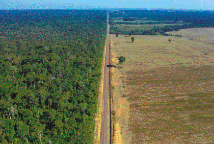 Imagem: Fotografia. Vista aérea de uma estrada. À esquerda, floresta com várias árvores e à direita, área desmatada.  Fim da imagem.