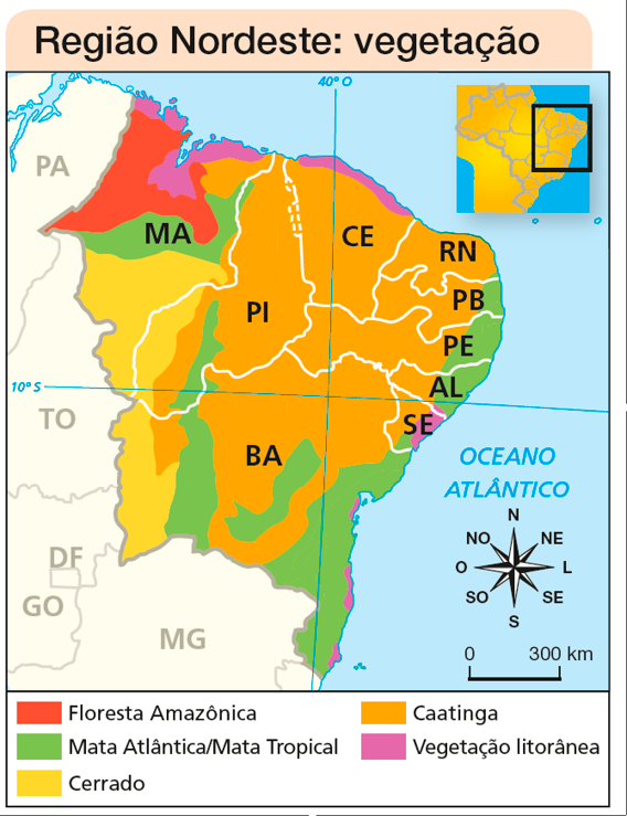 Imagem: Mapa. Região Nordeste: vegetação.  Floresta Amazônica: MA.  Mata Atlântica/Mata Tropical: MA, PI, BA, SE, AL, PE, PB.  Cerrado: MA, PI, BA.  Caatinga: MA, PI, CE, RN, PB, PE, AL, SE, BA.  Vegetação litorânea: MA, CE, SE, BA.  No canto inferior direito, a rosa dos ventos e a escala de 0 a 300 km. No canto superior direito, mapa com destaque para a região descrita.  Fim da imagem.