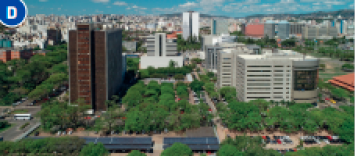 Imagem: Fotografia D. Vista aérea de uma cidade com ruas, prédios, casas e muitas árvores.  Fim da imagem.